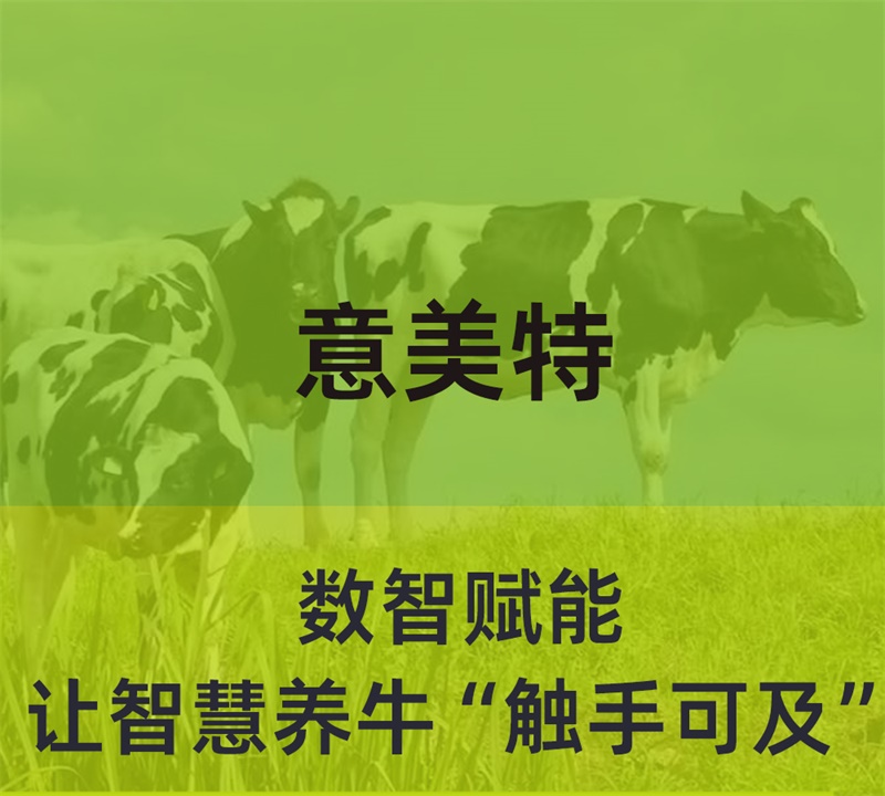 數(shù)智賦能，意美特讓智慧養(yǎng)牛“觸手可及”